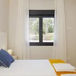 Cubo's Giava
